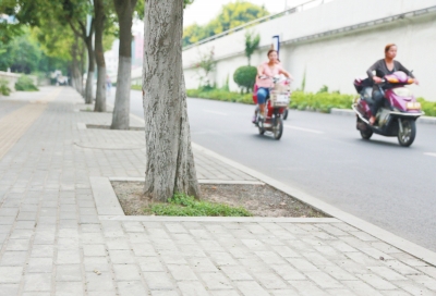  九都路的人行路面鋪設(shè)了透水磚，存在部分﹃海綿﹄功效。</P>
<P>一組研究數(shù)據(jù)顯示，若每棵樹的樹坑低于路面0.3米，下雨時便可蓄雨水0.432立方米。“下一步，洛陽也 將申報海綿城市造就汲引試點城市，示范區(qū)海綿城市造就汲引對于全市督促海綿城市造就汲引將供給很重要的經(jīng)驗。</P>
<P><B>[現(xiàn)狀]市區(qū)已有部分“海綿”結(jié)構(gòu)</B></P>
<P>這么高峻上，海綿城市會不會離現(xiàn)實很遠？對此，胡斌詮釋說，實在海綿城市的雛形在洛陽已經(jīng)遍地可見，比方新建市區(qū)的人工湖、高空停車場鋪設(shè)的多孔磚、人行道上的透水鋪裝，這些步履方法在滿足市民操作以外，已經(jīng)兼?zhèn)洳糠帧昂＞d”功效。